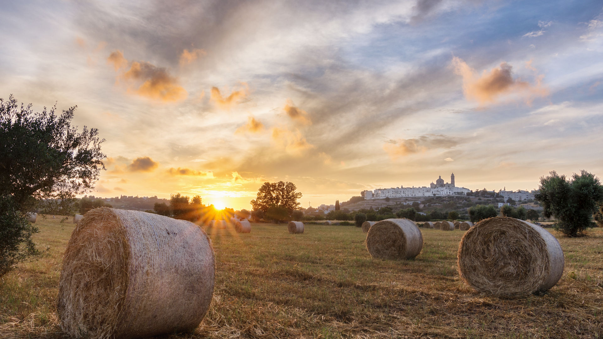 Almapetra Trulli Resort LocorotondoPuglia